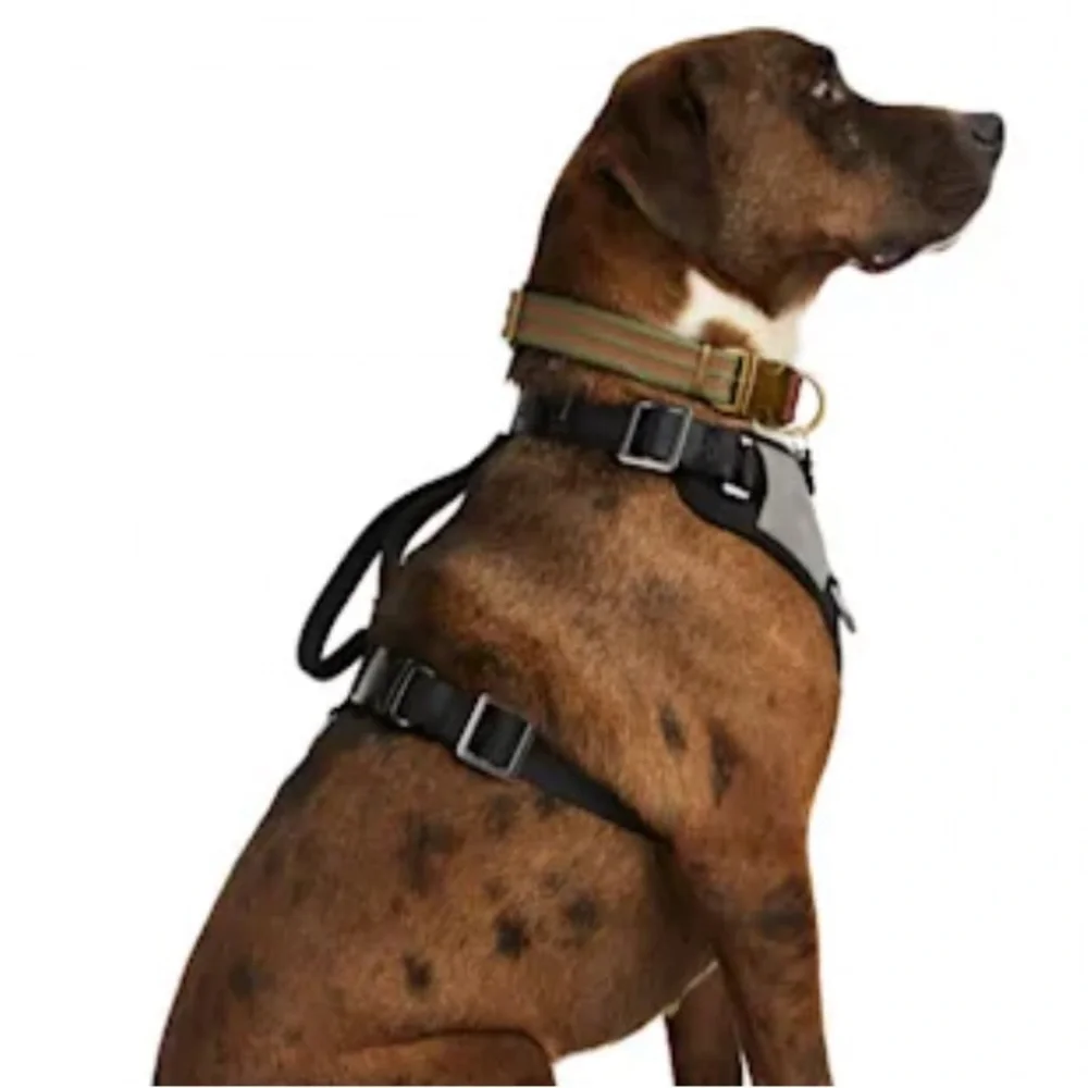 NWT Reddy Jacquard Dog Harness M